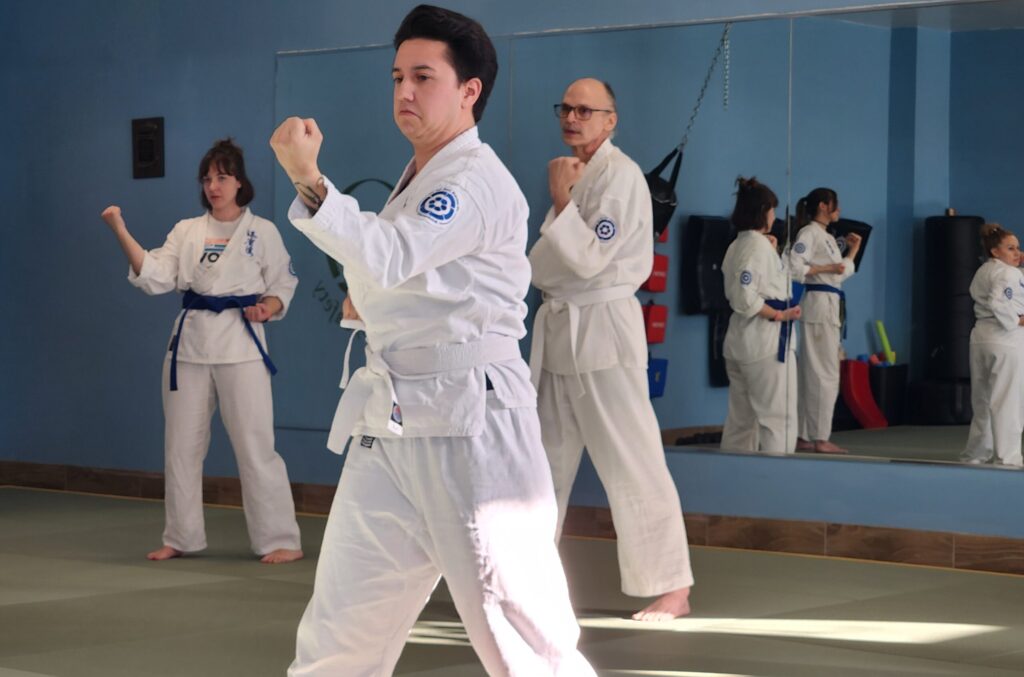 Adults in a karate class
