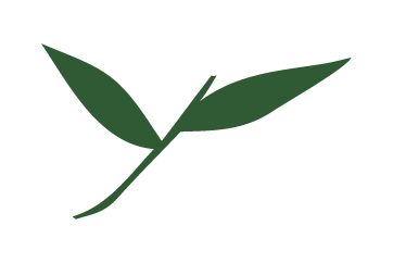 decorative bamboo leaf