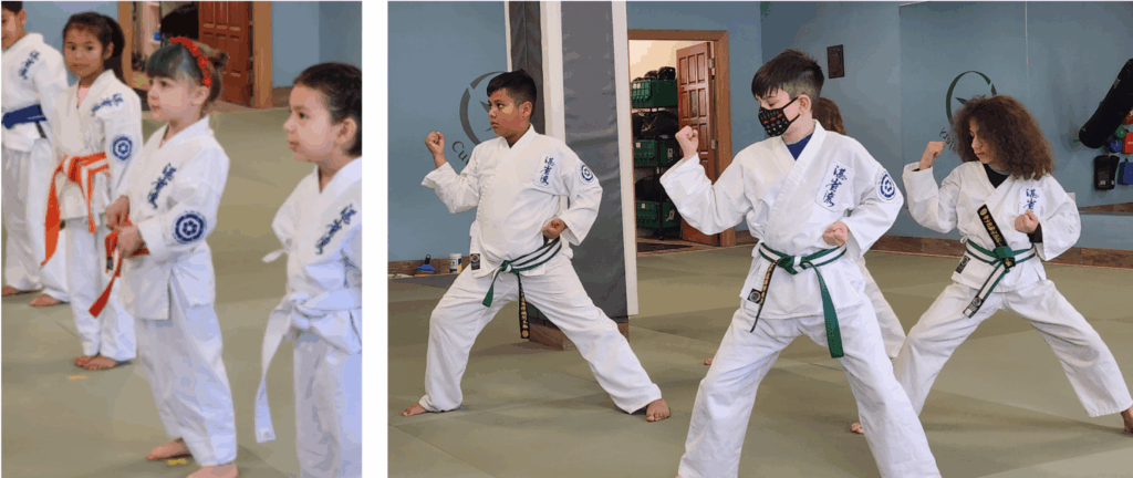 Groups of kids in karate class